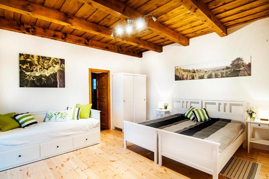 Sed Pince Vendeghaz Aparthotel Somlojeno ภายนอก รูปภาพ